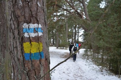 Kallastel kulgeb uus matkarada sama teed euro-rannikurajaga E9 (valge-sini-valge tähistus).