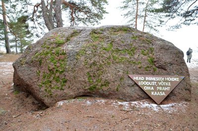 Rändrahnude juurest lõikab matkateekond sisemaad pidi Lohusalu poolsaare vastaskaldale.