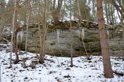 Liivarannast pankrannikule: tagasitee kulgeb paepanga all.