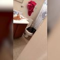 VIDEO | Loomad omavolitsesid vannitoas, tuues omanikele naerupisarad silma ja põhjustades seal täieliku kaose