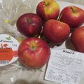 UUS ÕUNAPETTUS: Eestis keelatud toimeained paljastasid õunte päritolu
