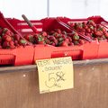 Soomlased leiutasid uue ja nutika vahendi maasikate päritolu kontrolliks