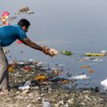 Janika Kronberg: kas Doonau on saastelt Euroopa Ganges?