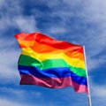 “Красивое природное явление украдено”: Сильвия Ильвес высказалась о гомосексуалах и их символе