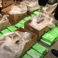 VIDEO | Riia Maxima poodides leiti banaanikastidest ligi 170 kilo kokaiini