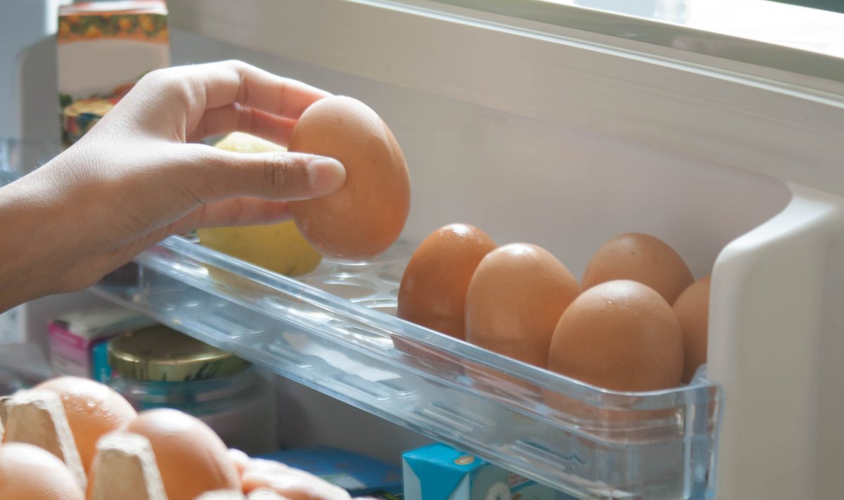 Kui elektrit pole, säilivad munad külmikus vaid mõne tunni jagu, hiljem pole need enam söömiseks ohutud.
