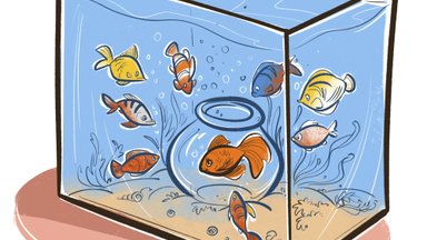 PÄIKESEMÄRKIDE HOROSKOOP 2023 | Kaladel on algamas ideaalne aeg selleks, et aru saada iseenda vajadustest