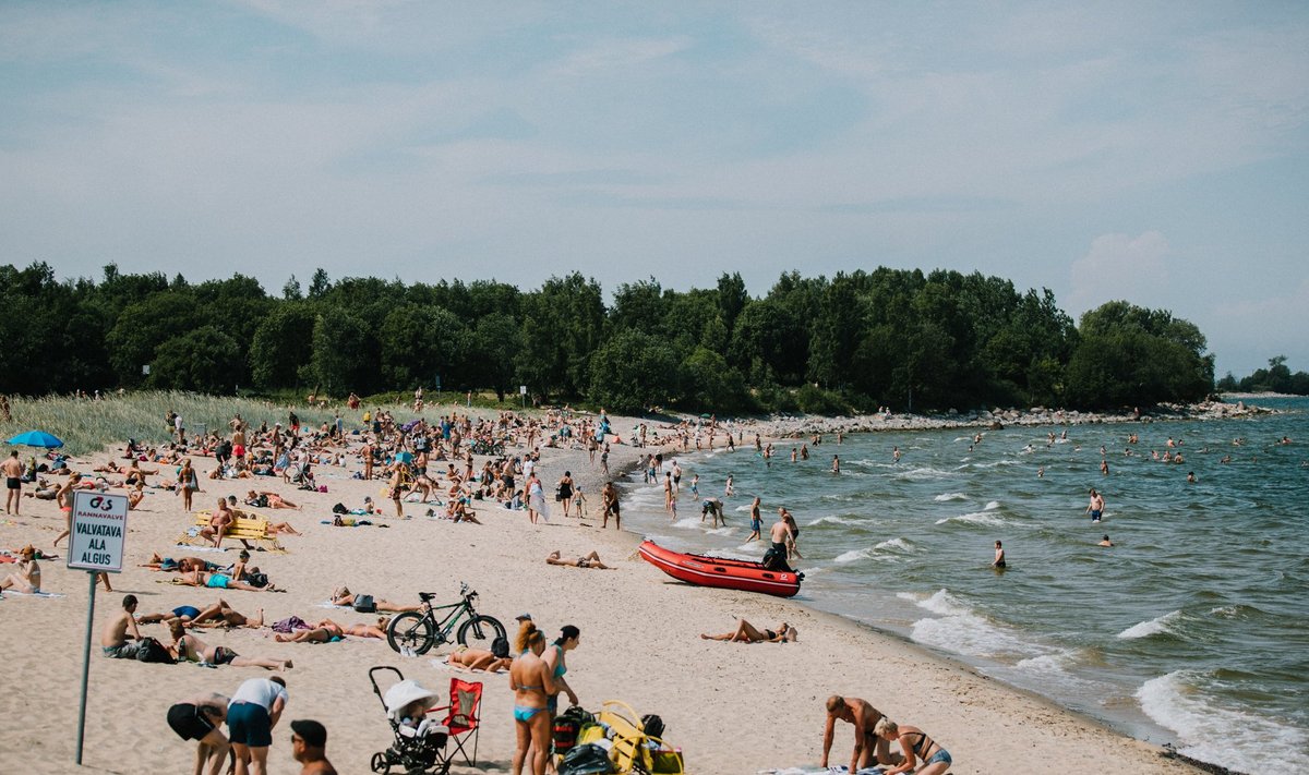 Palavus Tallinnas