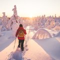 В Лапландии наблюдается рекордное количество снега на Рождество
