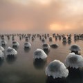 Завораживающий кадр: снимок эстонского фотографа опубликован в National Geographic