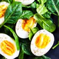 Toitumisterapeut Signesse Kalmus: muna kasulikkust on raske üle hinnata