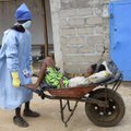LÄBIMURRE: Katsetatud vaktsiin annab lõpuks ebola vastu sajaprotsendilise kaitse