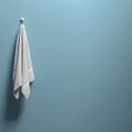 Miks käterätikud ei peaks olema vannitoas? Ehk asjad, mis justkui kuuluvad vannituppa, kuid ei tohiks seal olla