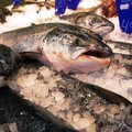 Kalandusekspert: kui tahame, et inimesed rohkem kala sööksid, siis tuleb sissetulekuid ja elujärge tõsta