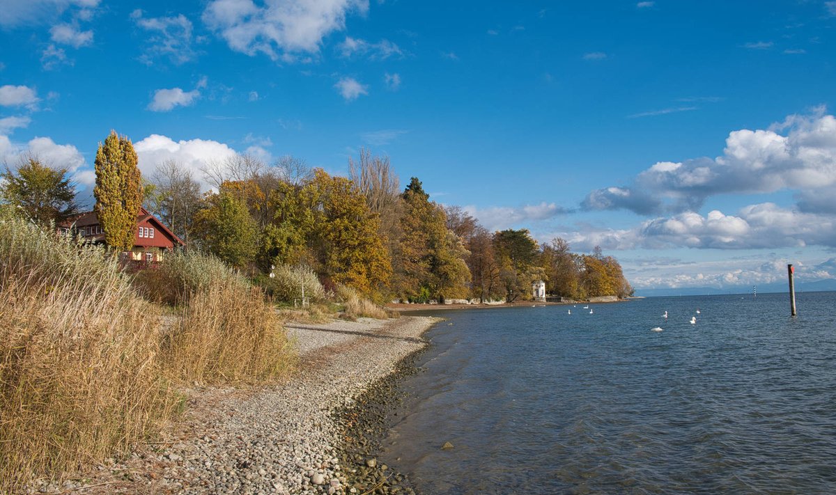 Bodensee, Herbst am Seeufer von Konstanz *** Lake Constance, autumn on the lakeside of Constance