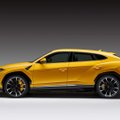 Lamborghini tegi kiire linnamaasturi