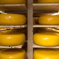 Eestis valmistatud juustud tõid ülemaailmselt võistluselt koju kulla ja hõbeda
