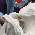 Кем оказались мумии “пришельцев” из Перу