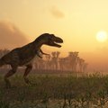 Uuring: maailmas on elanud 2,5 miljardit türannosaurust