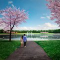 ФОТО | Таллинн реконструирует фонтан и парковую зону пруда Ыйсмяэ