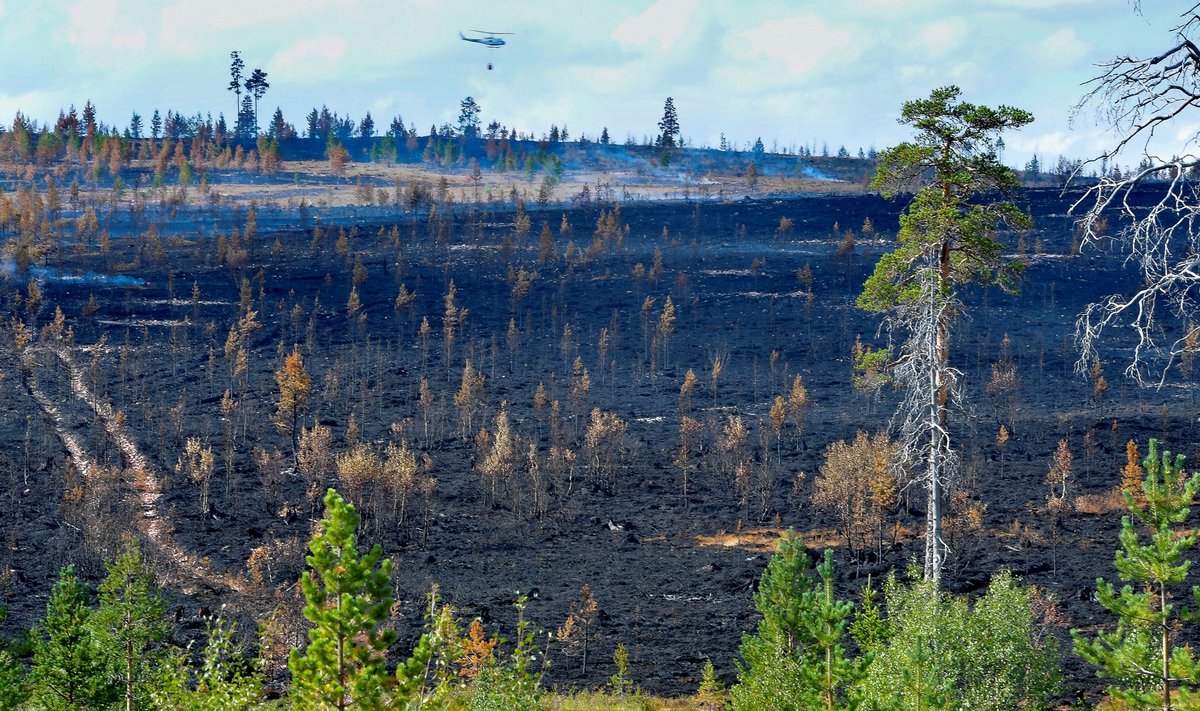 Suurimad metsapõlengud toimusid Rootsi keskosas, kus asub ka pildil kujutatud Älvdaleni vald.