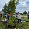 ФОТО | Экипаж "Адмирала Беллинсгаузена" и президент Кальюлайд посадили в Палдиски больше сотни деревьев