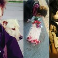 Hispaania politsei tappis Barcelonas eestlasest kodutu noormehe koera