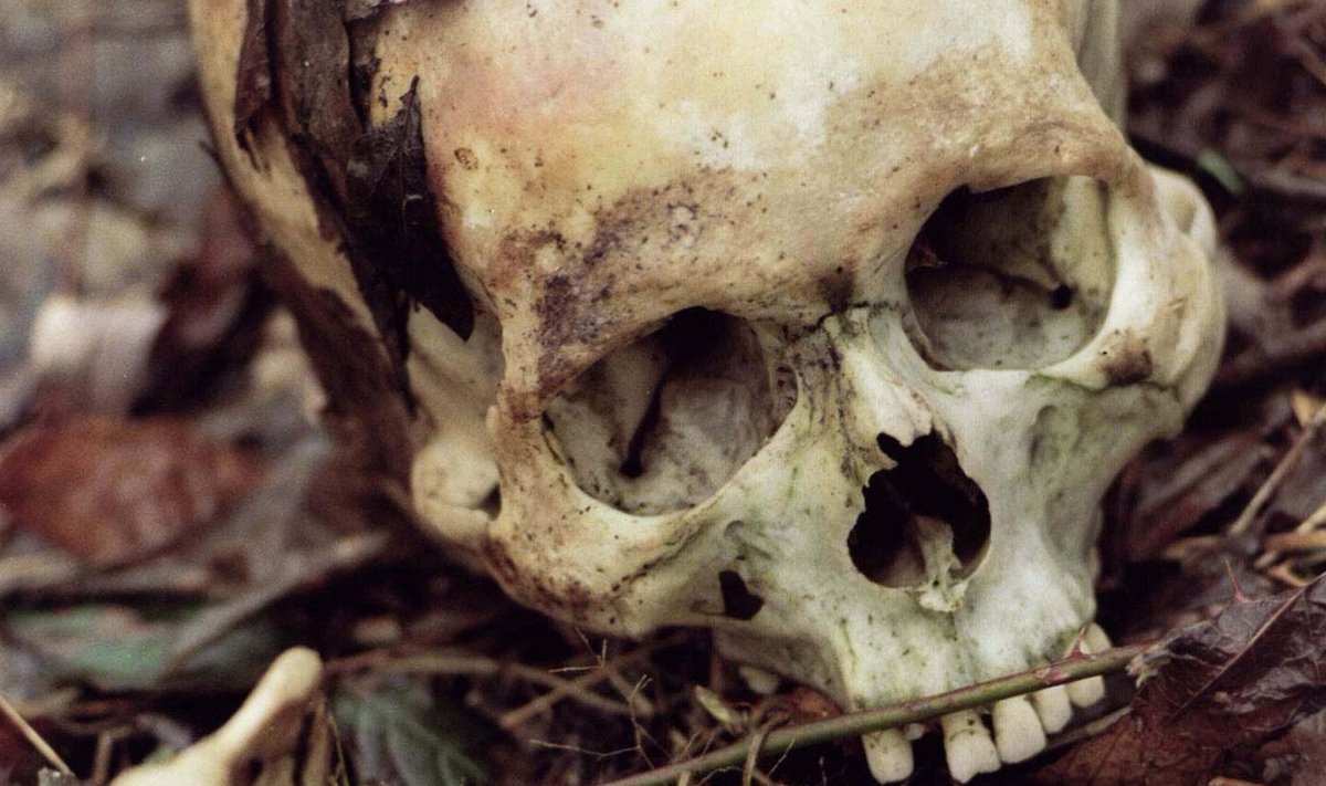 1996. aasta foto Srebrenica lähistelt