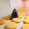 Ostja jääb tööstuse langetatud juustuhinnast ilma, kasum läheb kaupmehe tasku