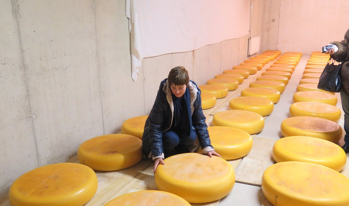 Suurim juust 16 kilo