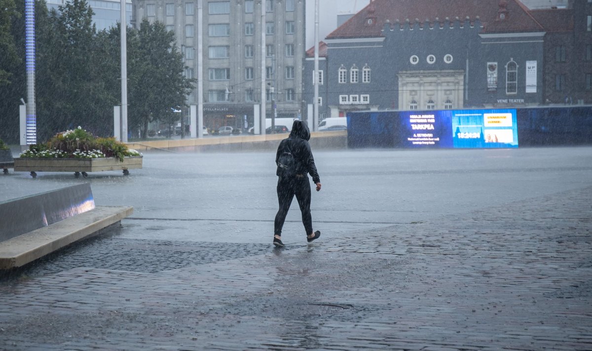 Дожди в Таллинне.