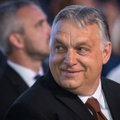 INTERVJUU | Mall Hellam: Ungari ei lahkuks Euroopa Liidust, Orbán ja tema lähikondsed elavad EL-i toetustest