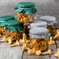 Kolm lihtsat võimalust seente säilitamiseks