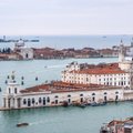 ВИДЕО | Дельфины вернулись в Венецию