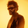 Самая яркая поп-звезда уходящего года The Weeknd в следующем году приедет в Таллинн
