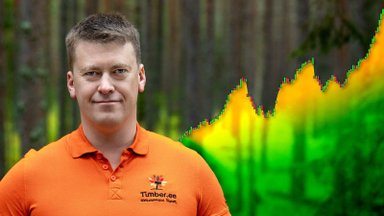See mis Timber.ee oksjonikeskkonnas toimub on “müstika” - kommenteerivad Eesti metsasektori suurtegijad Tornator ja Graanul Invest