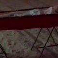 ВИДЕО: В Самаре женщина привезла гроб с телом мужа к зданию правительства