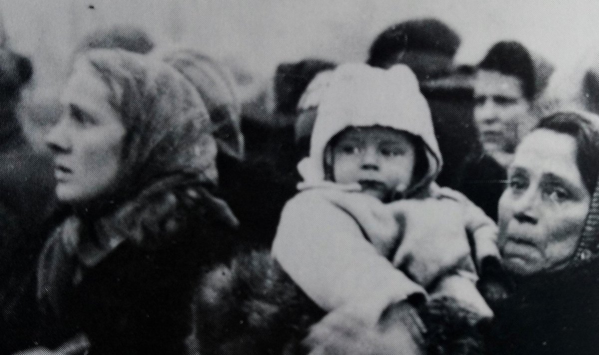 И СТАР, И МЛАД: эстонские беженцы в Висбю, о. Готланд, в сентябре 1944 года.