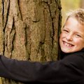 Teadlaste hinnangul on puude lähedal elamine kasulik inimese tervisele