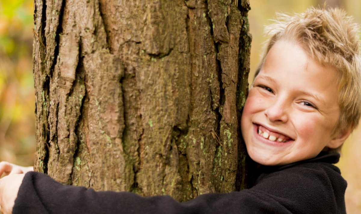 Lapsed teavad hästi, et puud ja loodus mõjuvad inimesele tervistavalt