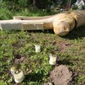 DELFI FOTOD SÜNDMUSKOHALT: Antslas puuskulptuuri alla jäänud kuueaastane poiss suri haiglas