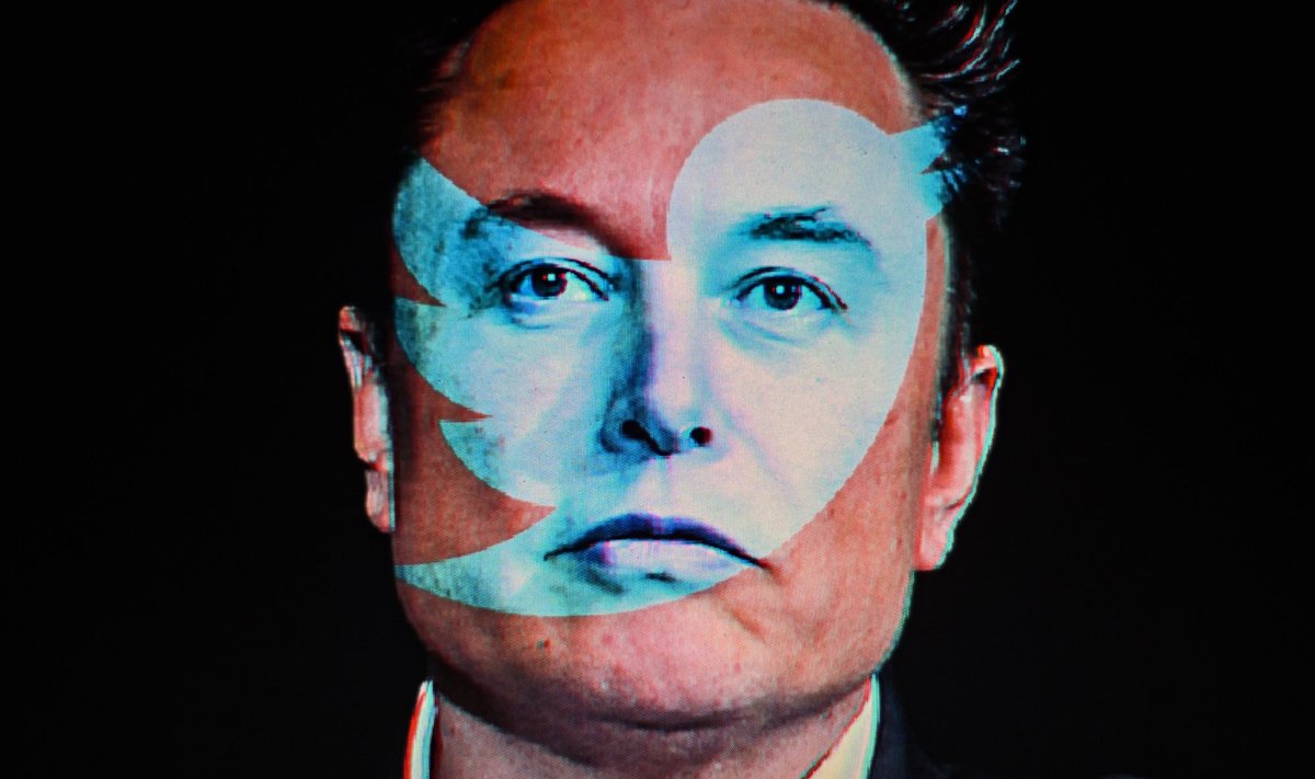 Elon Musk To Step Down According To Poll