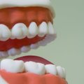 Открыта бесплатная всеэстонская линия стоматологических консультаций