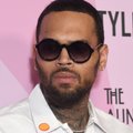 Chris Brown kaevati koerarünnaku eest kohtusse: ohver sai tõsised vigastused näkku