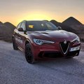 "Istmesoojendus": Alfa Romeo Stelvio Quadrifoglio - Eestis vähetuntud sportmaastur, millel iseloomust puudust pole
