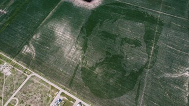 50 hektarit Messit: Argentiina insener külvas maailmameistri näo maisipõllule, seda erakordsel meetodil