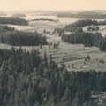 MEIE METSA LUGU |Kui suur on olnud Eesti metsasus?