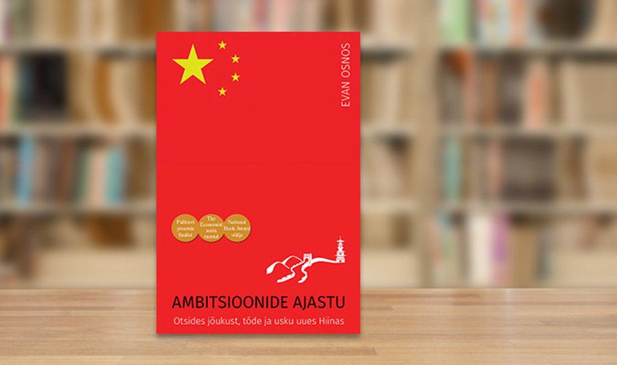 Ambitsioonide ajastu