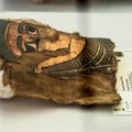 Внимательная студентка раскрыла “загадку” древнеегипетской мумии