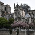 Suursaadik Pariisis: Notre Dame'i taastamisel ei tõota probleemiks kujuneda raha, vaid oskustööliste nappus